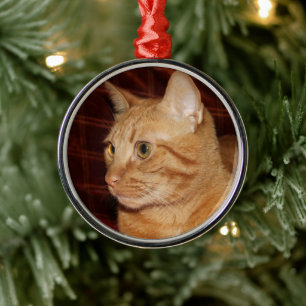 Orange Tabby Cat Face Profile Metal Ornament