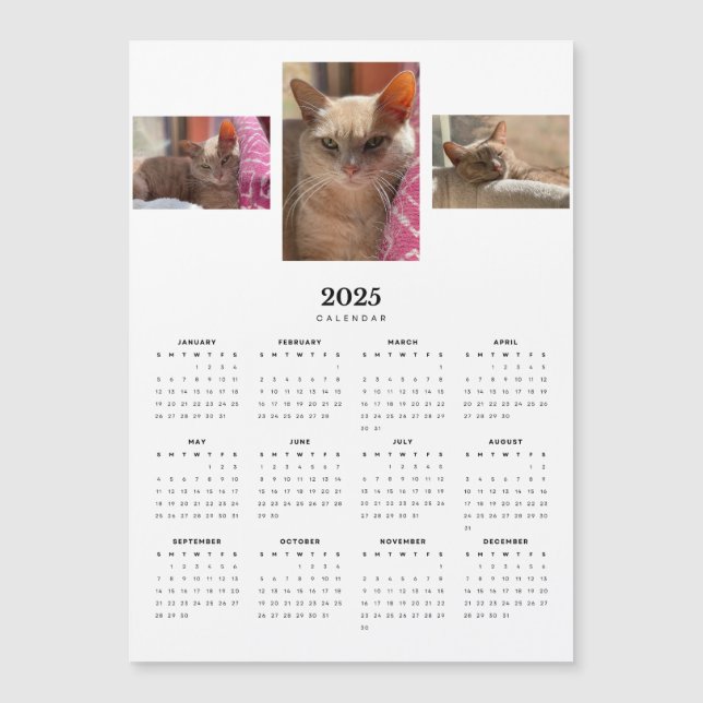 Orange Tabby Cat Ginger 2025 Magnetic Calendar  (Front)