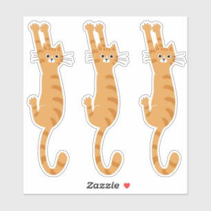 Orange Tabby Cat Hanging On Funny Striped Cat