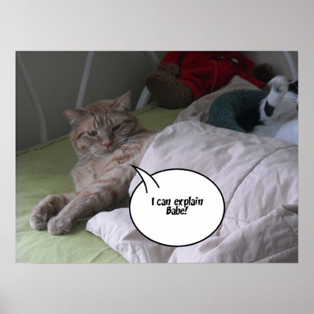Orange Tabby Cat Humor Poster (Front)