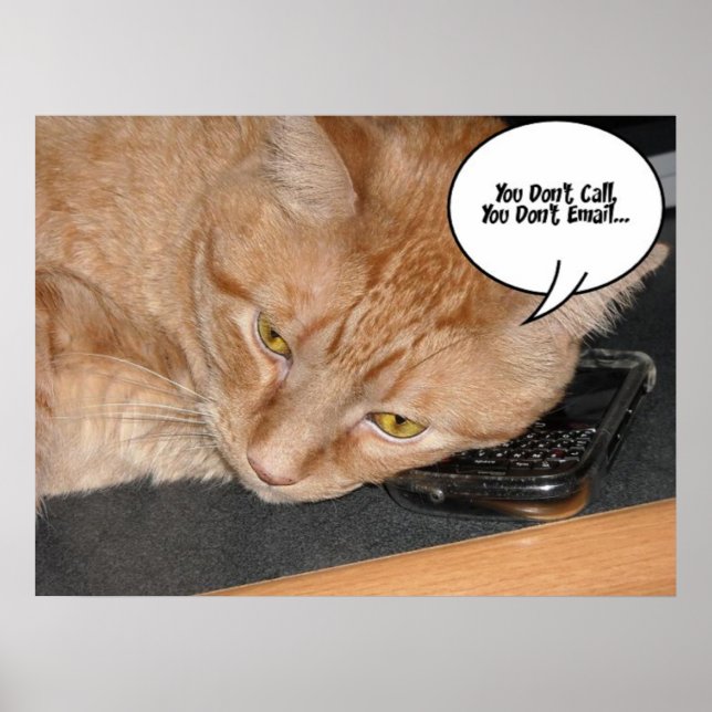 Orange Tabby Cat Humour Poster (Front)