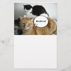 Orange Tabby Cat I'm Sorry Stationery