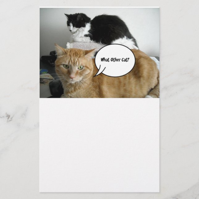 Orange Tabby Cat I'm Sorry Stationery (Front)