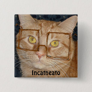 Orange Tabby Cat/Incognito Humour 2 Inch Square Button