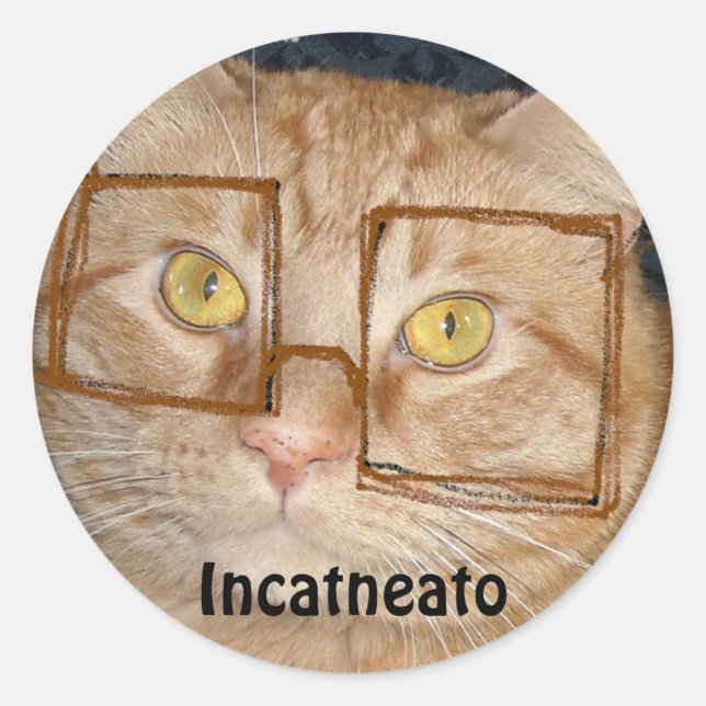 Orange Tabby Cat/Incognito Humour Classic Round Sticker (Front)
