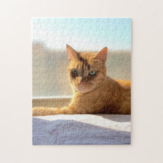 Orange Tabby Cat Jigsaw Puzzle