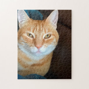 Orange tabby cat jigsaw puzzle