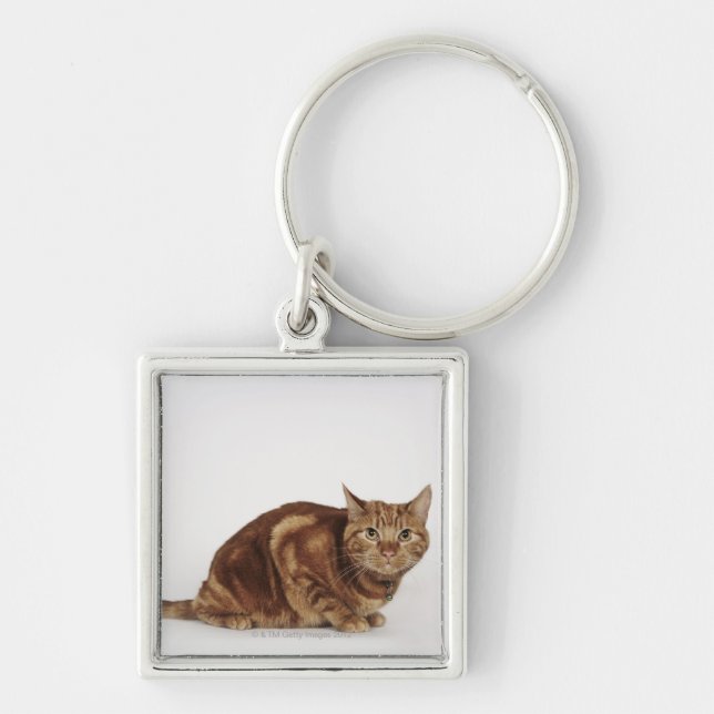 Orange Tabby cat Keychain (Front)