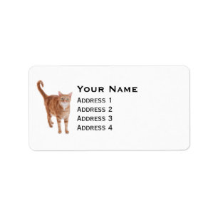 Orange Tabby Cat Label
