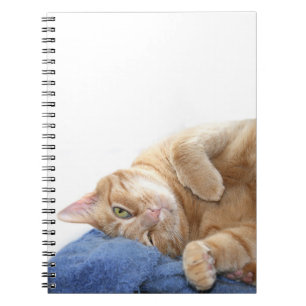 Orange tabby cat notebook