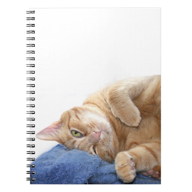 Orange tabby cat notebook (Front)