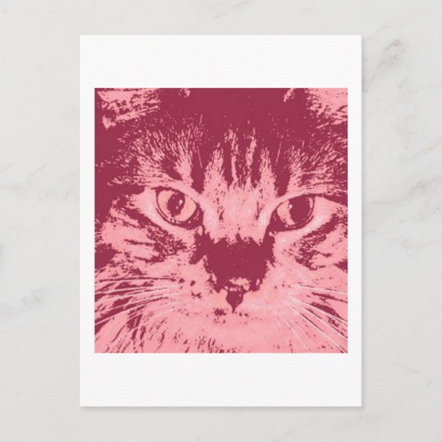 Orange Tabby Cat Postcard (Front)