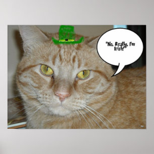 Orange Tabby Cat Poster