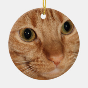 Orange Tabby Cat Profile Face Close up Ceramic Ornament