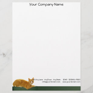 Orange Tabby cat Sitting on Green Fence Letterhead