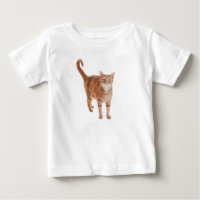 Orange Tabby Cat Standing