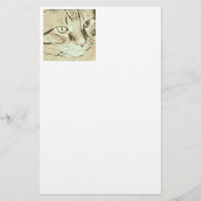 Orange Tabby Cat Stationery (Front)