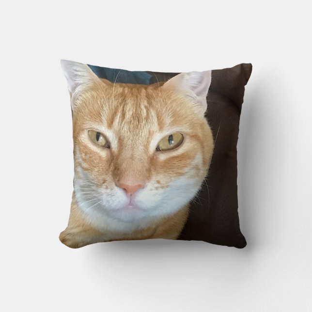 Orange tabby cat throw pillow (Front)
