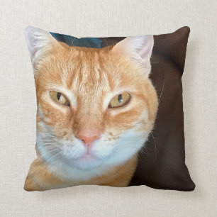 Orange tabby cat throw pillow