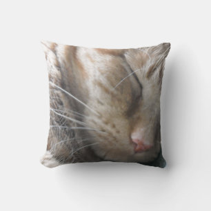 Orange Tabby Cat Throw Pillow