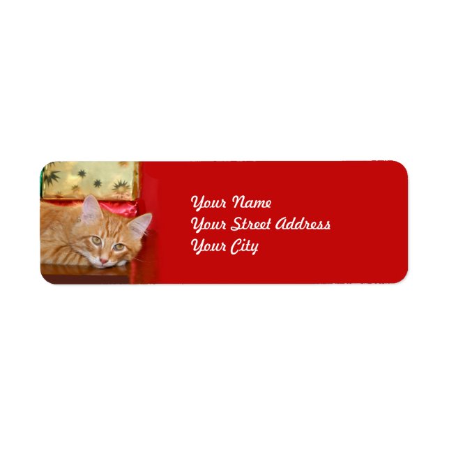 Orange tabby Christmas (Front)