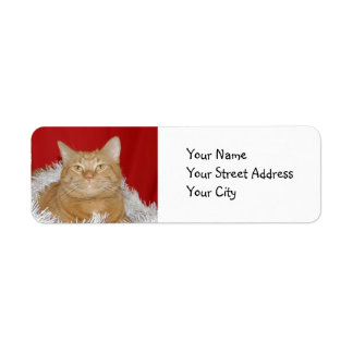 Orange tabby Christmas