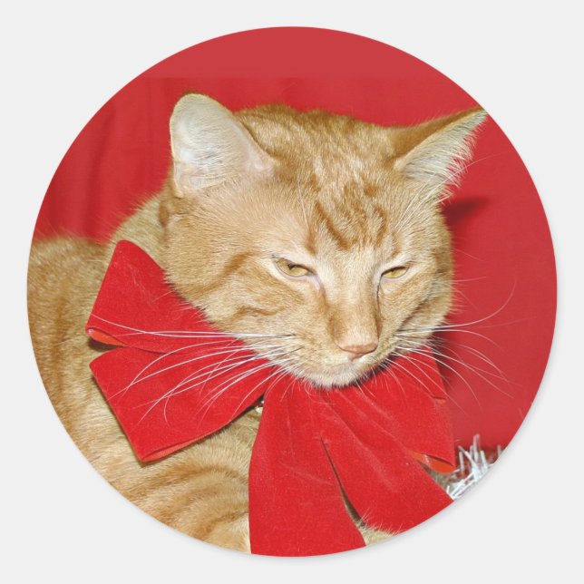 Orange tabby Christmas bow sticker (Front)