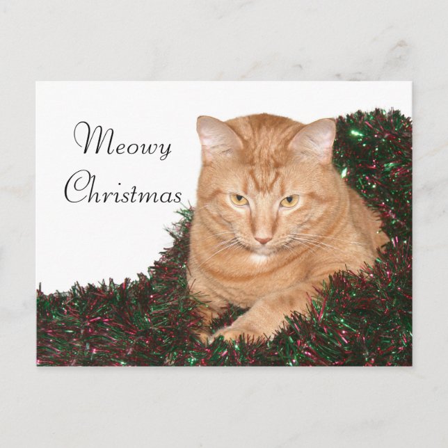 Orange tabby Christmas Holiday Postcard (Front)
