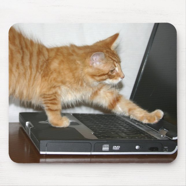 Orange tabby computer mouse pad (Front)