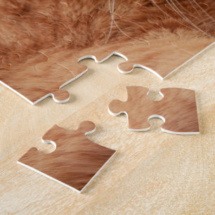 Orange Tabby Jigsaw Puzzle