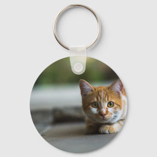 Orange tabby kitten. keychain