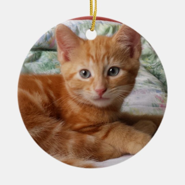 Orange Tabby Kitten Ornament (Front)