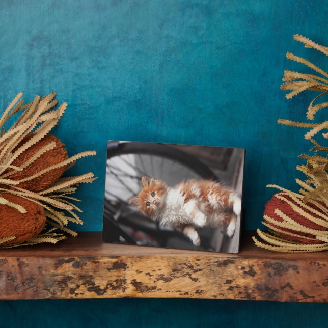 Orange Tabby Kitten Plaque (Side)