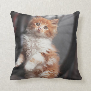 Orange Tabby Kitten Throw Pillow