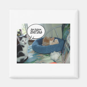 Orange Tabby Kitty Cat Magnet