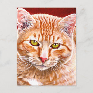 Orange Tabby Painting Postcard