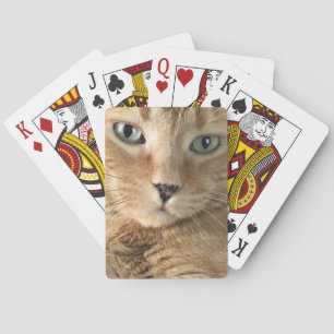 Orange Tabby Playing Cards