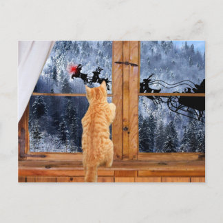 Orange tabby red dot Christmas Holiday Postcard