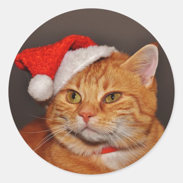 Orange Tabby Santa Cat Envelope Seals Stickers (Front)