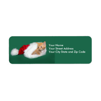 Orange tabby Santa hat