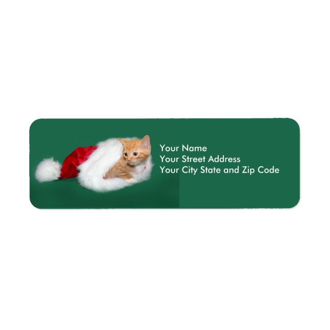 Orange tabby Santa hat (Front)