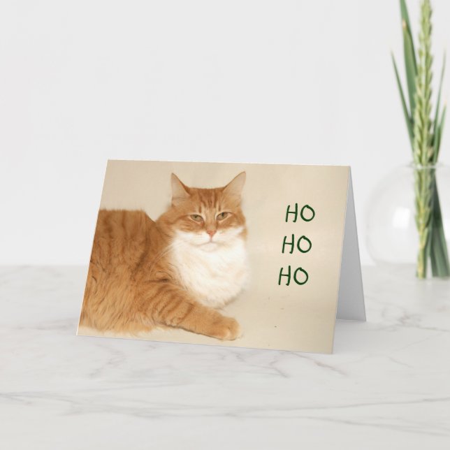 Orange tabby Santa Holiday Card (Front)