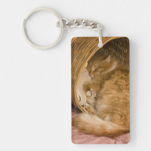 Orange tabby sleeping in hamper keychain