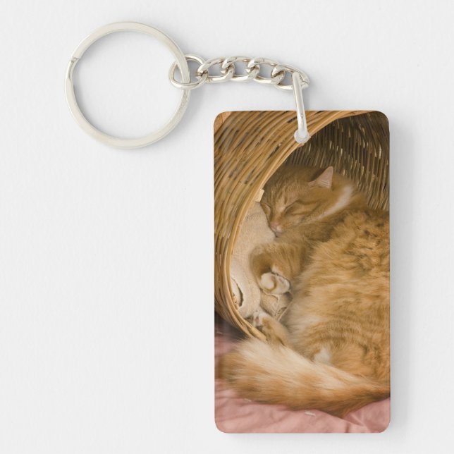 Orange tabby sleeping in hamper keychain (Front)