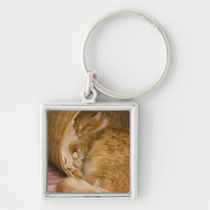 Orange tabby sleeping in hamper keychain