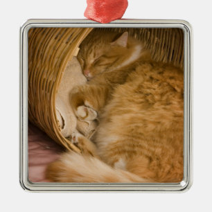 Orange tabby sleeping in hamper metal ornament