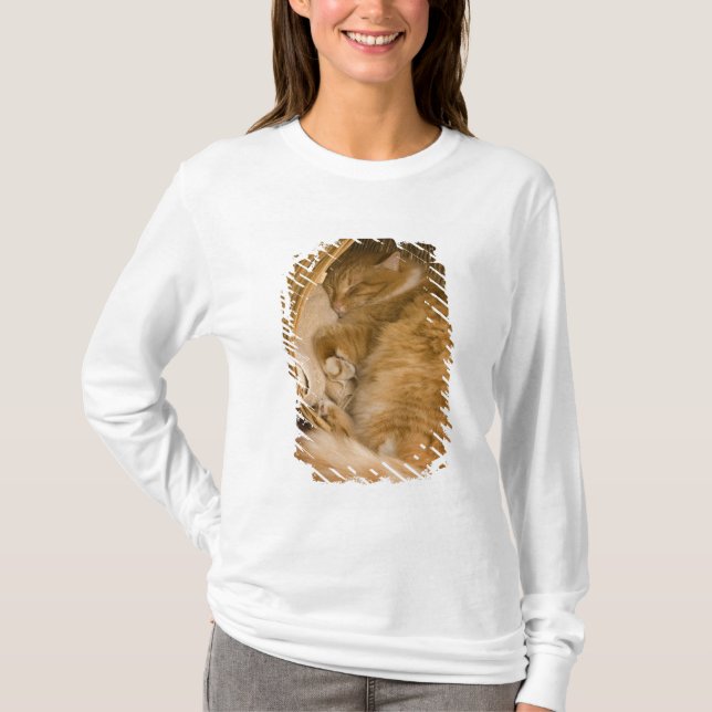 Orange tabby sleeping in hamper T-Shirt (Front)