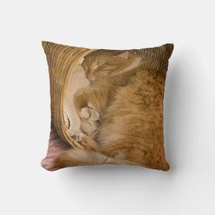 Orange tabby sleeping in hamper throw pillow
