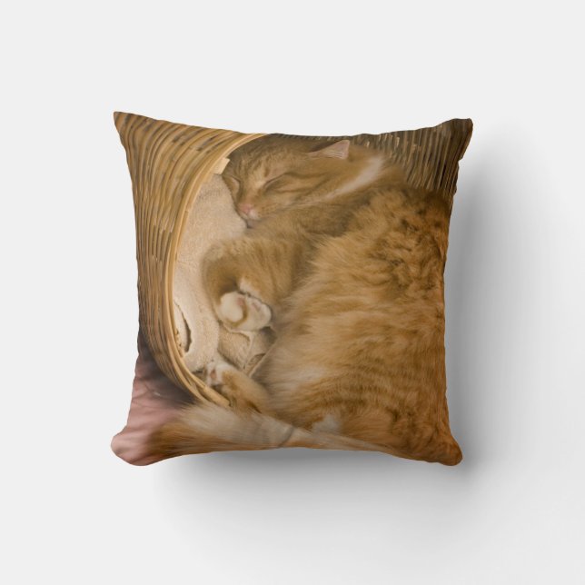 Orange tabby sleeping in hamper throw pillow (Front)