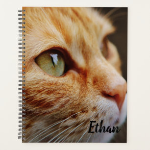 Orange Tabby with Green Eyes Custom Planner